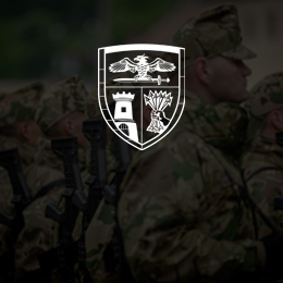 HDF Territorial Defence and Support Command