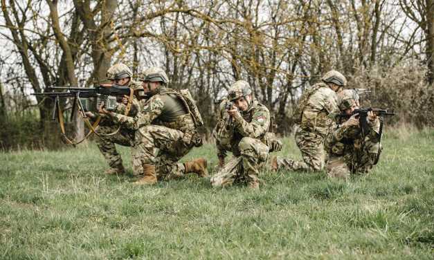 202604_Platinum Wolf 26_felkészülés_PZ_cover