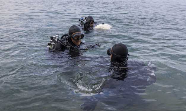 20260902_Open_Water_HZS_cover