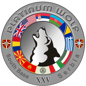 Platinum Wolf gyakorlat logo