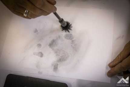 20251021_Szentendre_Attasélátogatás-FD-25